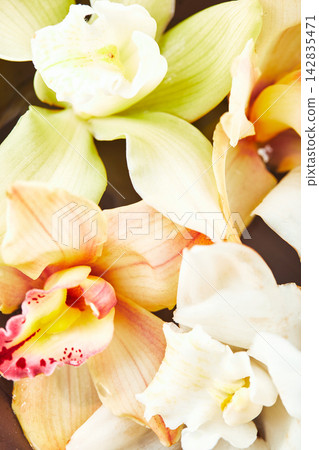Cymbidium orchid flowers in water indark bowl on white background Cymbidium orchid flowers in water indark bowl on white background 142835471
