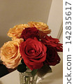 Beautiful Rose 142835617