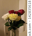 Beautiful Rose 142835618