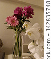 Orchids and Gerberas 142835748