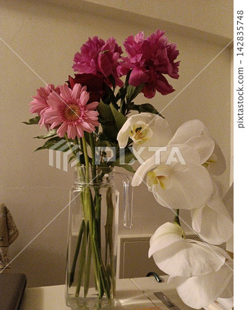 Orchids and Gerberas Orchids and Gerberas 142835748