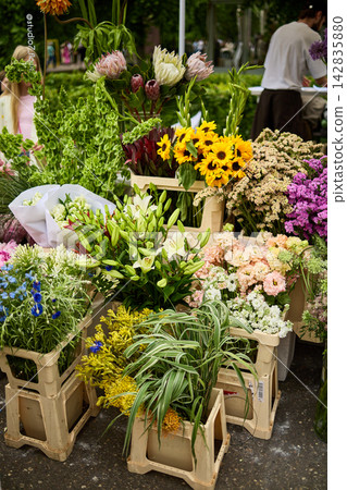 Rustic Flower Market with Wooden Crates Full of Colorful Fresh Blooms Rustic Flower Market with Wooden Crates Full of Colorful Fresh Blooms 142835880