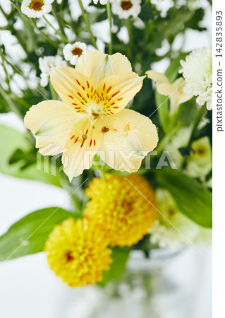 Close-up of yellow alstroemeria and white chrysanthemums in a bouquet 142835893
