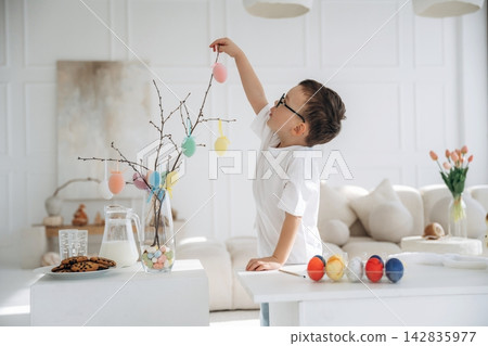 Young boy with glasses decorates a branch with colorful Easter eggs in a bright, modern living room with a cozy sofa and a plate of cookies on the table Young boy with glasses decorates a branch with colorful Easter eggs in a bright, modern living room with a cozy sofa and a plate of cookies on the table 142835977