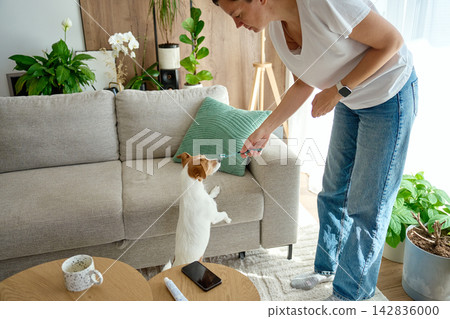 Woman showing a dog a toothbrush before brushing teeth at home 142836000