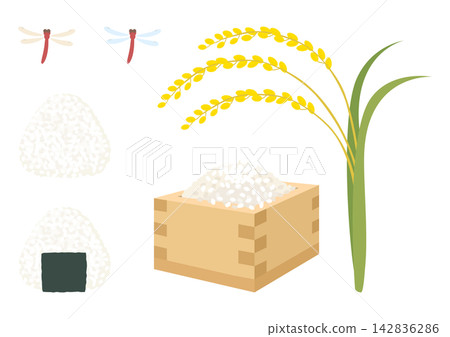 Autumn rice stalks, new rice, and rice illustration set Autumn rice stalks, new rice, and rice illustration set 142836286