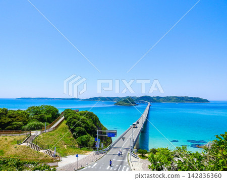 The Tsunoshima Bridge leading to Tsunoshima Island in Shimonoseki City and the cobalt blue sea make for a spectacular view. The Tsunoshima Bridge leading to Tsunoshima Island in Shimonoseki City and the cobalt blue sea make for a spectacular view. 142836360