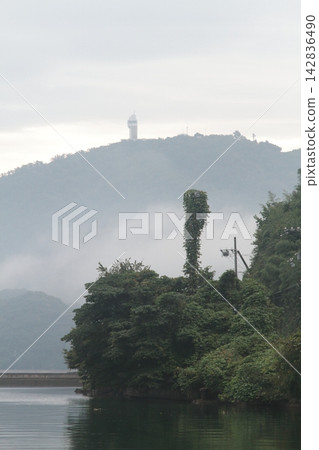 The sea shrouded in fog and telephone poles covered in vines. The sea shrouded in fog and telephone poles covered in vines. 142836490