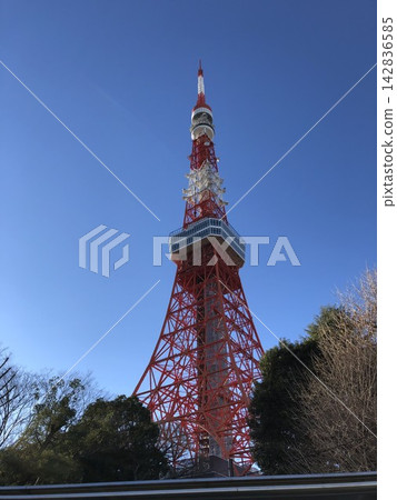 Tokyo Tower rising in the blue sky Tokyo Tower rising in the blue sky 142836585