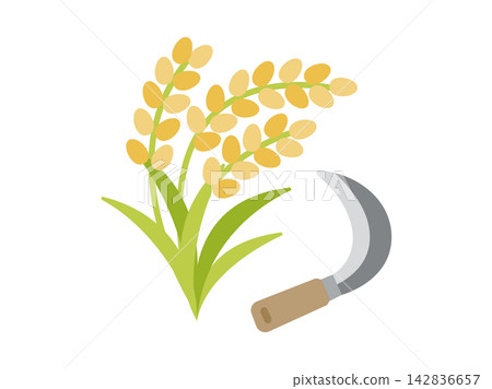 水稻收割圖示插圖 水稻收割圖示插圖 142836657