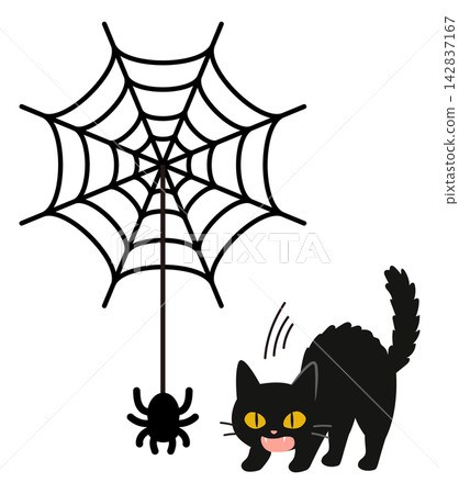 An illustration of a cute black cat being startled and threatening a spider hanging from a spiderweb. An illustration of a cute black cat being startled and threatening a spider hanging from a spiderweb. 142837167