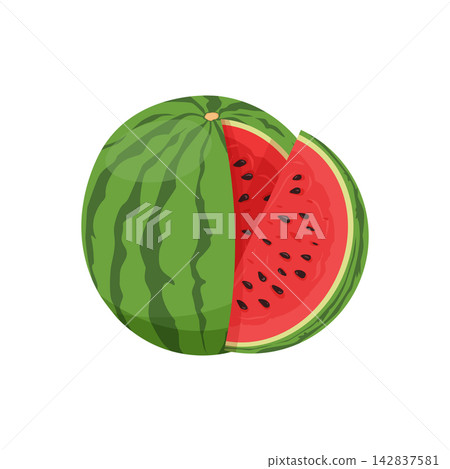 Watermelon with green striped rind. Whole with Sliced piece of ripe watermelon Watermelon with green striped rind. Whole with Sliced piece of ripe watermelon 142837581