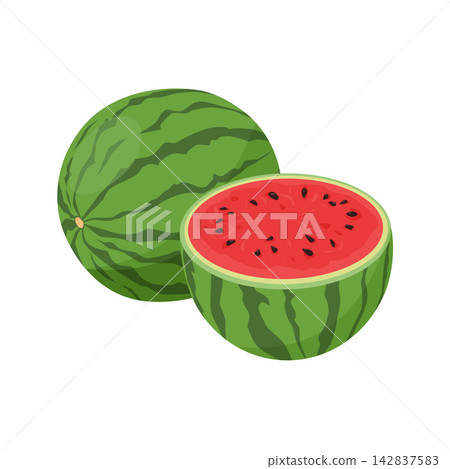 Watermelon whole and half with green striped rind. Cartoon ripe watermelon with black seeds Watermelon whole and half with green striped rind. Cartoon ripe watermelon with black seeds 142837583