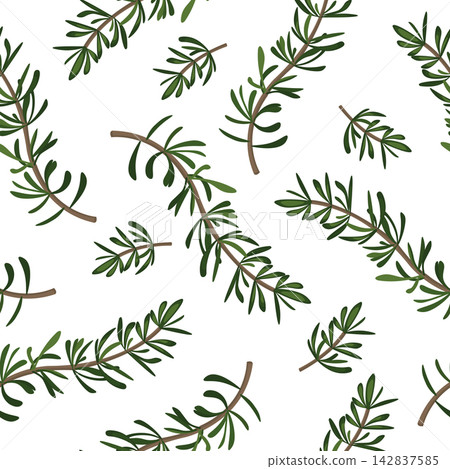 Seamless pattern with Sprig of rosemary. Aromatic herb branch with green leaves Seamless pattern with Sprig of rosemary. Aromatic herb branch with green leaves 142837585