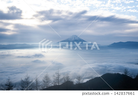 富士山與雲海:從甘利山眺望 富士山與雲海:從甘利山眺望 142837661