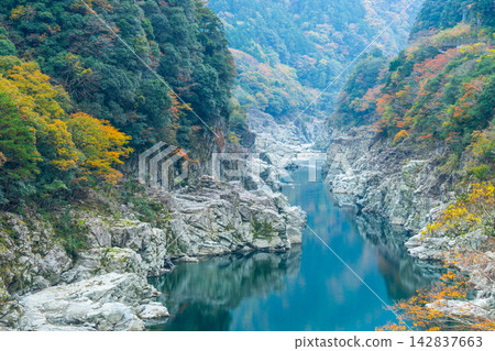 Autumn foliage scenery at Oboke Gorge (Tokushima Prefecture) Autumn foliage scenery at Oboke Gorge (Tokushima Prefecture) 142837663