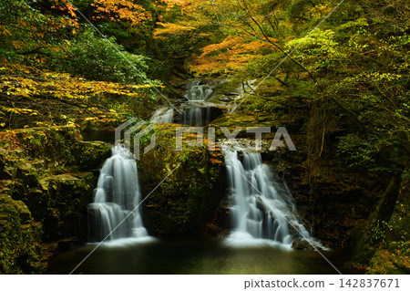 Akame Forty-Eight Waterfalls (Mie Prefecture): Autumn foliage at Nigataki Waterfall Akame Forty-Eight Waterfalls (Mie Prefecture): Autumn foliage at Nigataki Waterfall 142837671