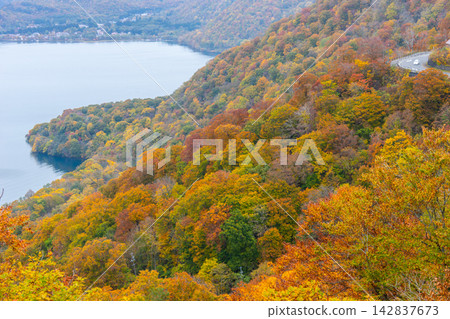 十和田湖(青森郡)的秋葉景色 十和田湖(青森郡)的秋葉景色 142837673