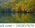 Autumn leaves at Tsutanuma (Aomori Prefecture) 142837676