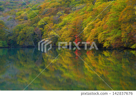 Autumn leaves at Tsutanuma (Aomori Prefecture) Autumn leaves at Tsutanuma (Aomori Prefecture) 142837676