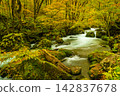 Autumn foliage scenery of Oirase Gorge 142837678