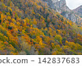 Autumn leaves in Sounkyo (Hokkaido) 142837683