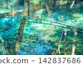 "Kami no Ko Pond" (Hokkaido), said to be fed by groundwater from Lake Mashu. 142837686