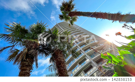 Modern high-rise building surrounded by palm trees in Sochi, Russia 142838153