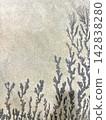 Dendrite (Ninja Stone) Tree-like Pattern and Stone Texture Background Material 142838280