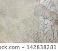 Dendrite (Ninja Stone) Natural Pattern Stone Texture Background Material with Copy Space 142838281