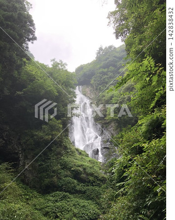 The lush green summer scenery of Kamba Falls in Maniwa City, Okayama Prefecture The lush green summer scenery of Kamba Falls in Maniwa City, Okayama Prefecture 142838432