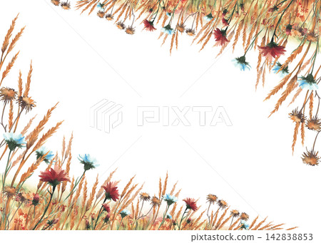 Autumn field with red, orange wildflowers, green yellow grasses rectangular corner frame. Hand drawn watercolor landscape nature fall meadow plants banner, card template. Isolated on white background. Autumn field with red, orange wildflowers, green yellow grasses rectangular corner frame. Hand drawn watercolor landscape nature fall meadow plants banner, card template. Isolated on white background. 142838853