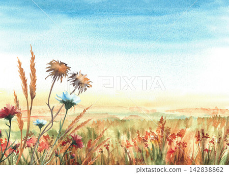 Autumn field with red, orange wildflowers, green yellow grasses, golden vegetation against backdrop of blue sky. Hand painted watercolor meadow, fall landscape. illustration isolated from background. 142838862