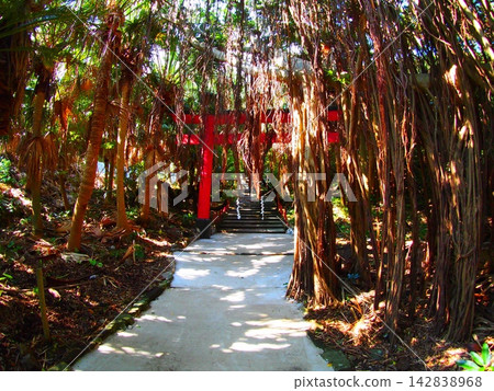 A vibrant red torii gate and dappled sunlight stand on a path through a forest overgrown with subtropical aerial roots. 142838968