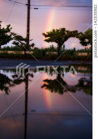 雨後,黃昏時分,一道彩虹倒映在水窪中。 雨後,黃昏時分,一道彩虹倒映在水窪中。 142838982