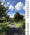 A quiet promenade surrounded by blue skies and greenery 142839157