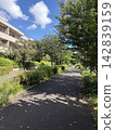 A quiet promenade in a residential area surrounded by greenery 142839159