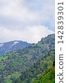 Vertical summer shot of mountain slopes with green grass and coniferous and deciduous trees against the background of white dense clouds. In the background there is snow in some places 142839301