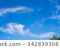An amazingly beautiful view of the blue sky with blurring white clouds due to powerful upper currents of air masses and wind. The tops of crowns of green trees visible. Natural wallpaper, background 142839308