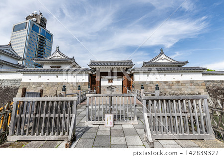 靜岡縣靜岡市:駿府城公園東門及靜岡縣政府辦公大樓 靜岡縣靜岡市:駿府城公園東門及靜岡縣政府辦公大樓 142839322