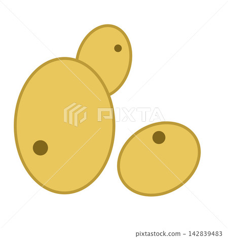 Educational flat illustration of yeast cells with budding reproduction. Suitable for microbiology, biology, fermentation, laboratory education, fungi Educational flat illustration of yeast cells with budding reproduction. Suitable for microbiology, biology, fermentation, laboratory education, fungi 142839483