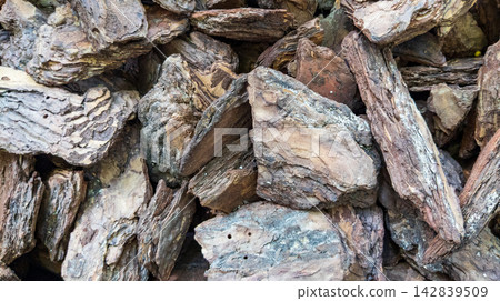 Mulch texture background. Large pieces of natural pine tree bark cover the ground. Organic soil protection Mulch texture background. Large pieces of natural pine tree bark cover the ground. Organic soil protection 142839509