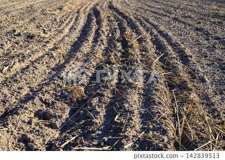 Combine harvester tire tracks in a field after the grain harvest. Agricultural field Combine harvester tire tracks in a field after the grain harvest. Agricultural field 142839513