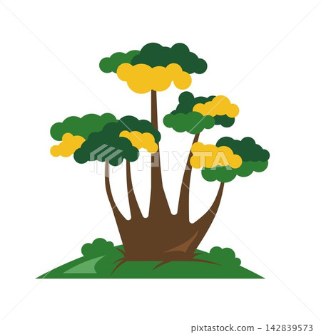 bonsai, vector, wood 142839573