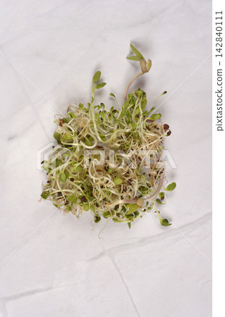 Fresh mixed sprouts on a light marble background Fresh mixed sprouts on a light marble background 142840111