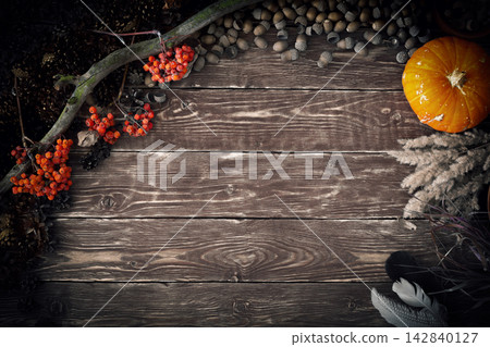 Magic autumn authentic flatlay on wooden background with pumpkin, ashberry, feather, pinecones, acorns and dry reed, copy space, low key. Magic autumn authentic flatlay on wooden background with pumpkin, ashberry, feather, pinecones, acorns and dry reed, copy space, low key. 142840127