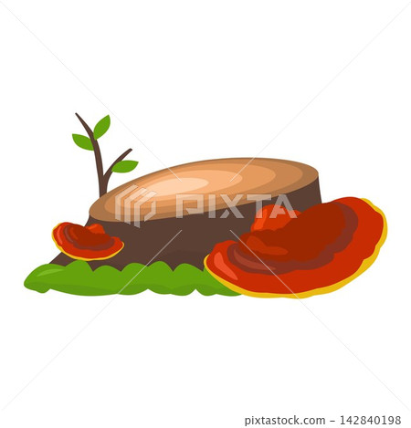 mushroom, moss, vector 142840198