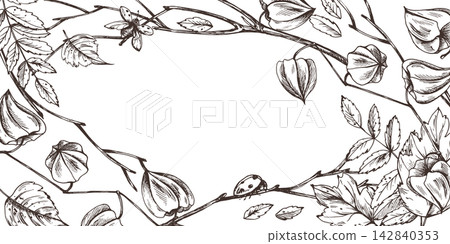 Hand drawn ink frame with autumn physalis, leaves, ladybug and ladybird. Engraving style black and white botanical border with copy space. Hand drawn ink frame with autumn physalis, leaves, ladybug and ladybird. Engraving style black and white botanical border with copy space. 142840353