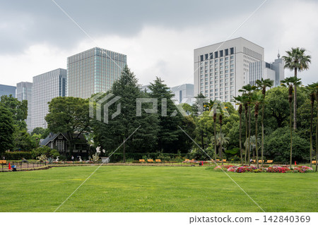 Hibiya Park Green Lawn and Palm Trees in Tokyo 142840369