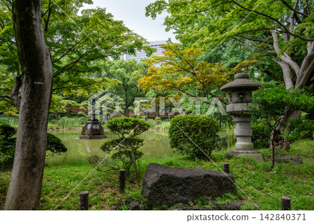 Kumogata Pond With Stone Lantern in Hibiya Park 142840371